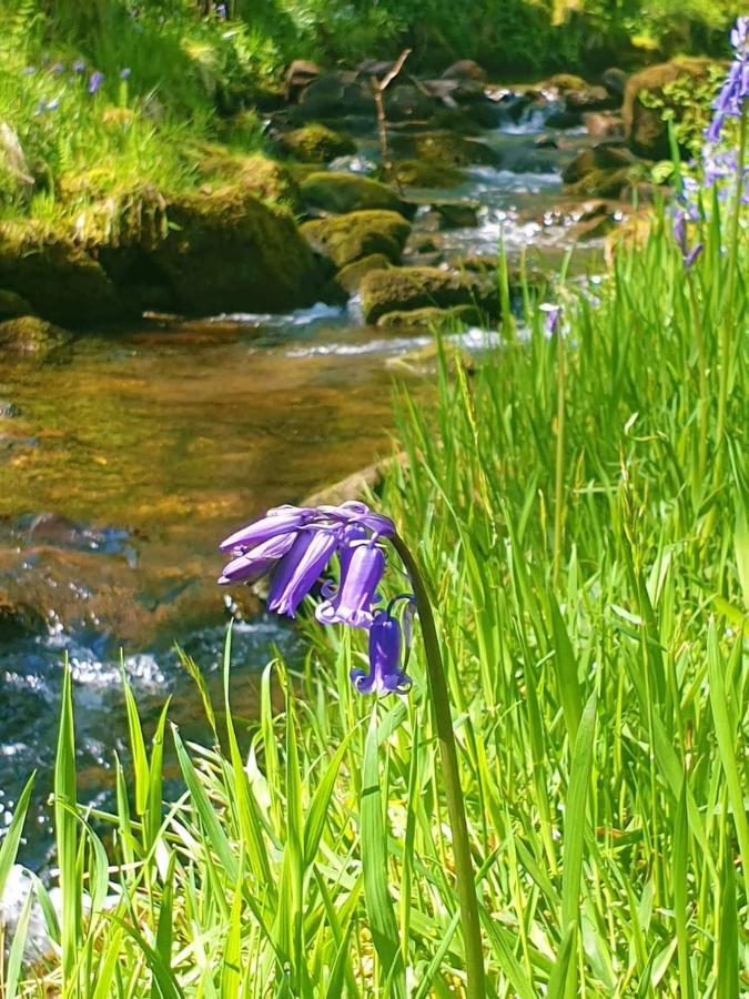 Bijou Cottage In Bronte Country With Wood-Burning Stove & Hot Tub Spa ฮาเวิร์ท ภายนอก รูปภาพ